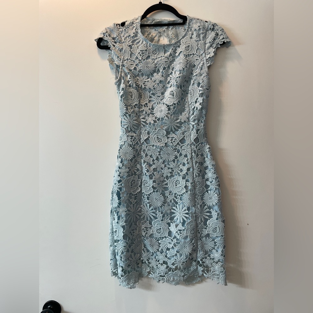 LuLus Blue Lace Floral Mini Dress